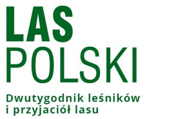 Historia „Lasu Polskiego”