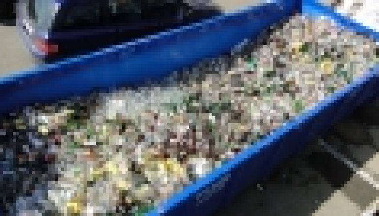 Drzewka za surowiec w Bielsku-Białej