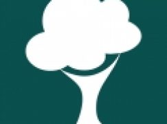 Inicjatywy – Debaty o lasach…i nie tylko