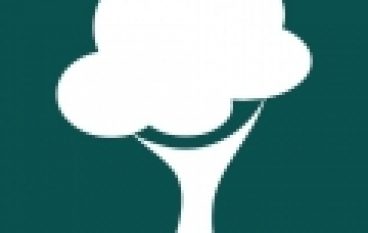 Inicjatywy – Debaty o lasach…i nie tylko