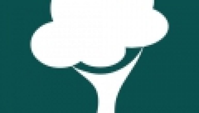 Inicjatywy – Debaty o lasach…i nie tylko