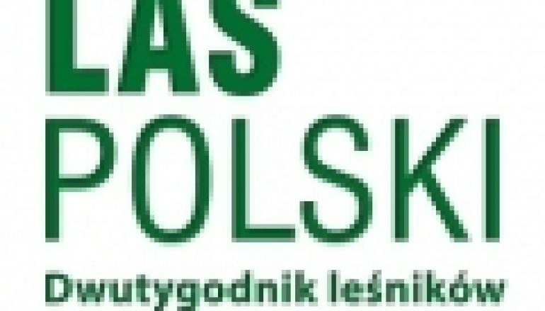 Kryzys w branży – Przedsiębiorcy leśni w opałach