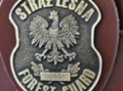Straż Leśna – Szersza pula mandatów