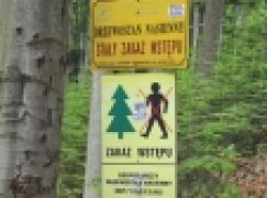 Fantazja regionalizacji