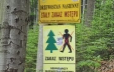 Fantazja regionalizacji