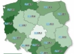 Statystyka leśna – Kłopotliwa lesistość