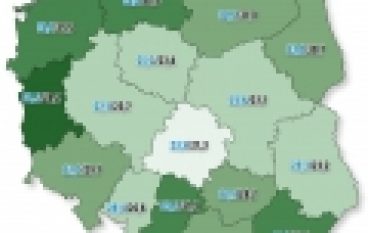 Statystyka leśna – Kłopotliwa lesistość