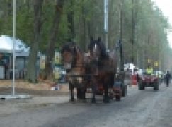 Eko-Las 2012  – Pokazy maszyn w lesie