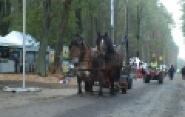 Eko-Las 2012  – Pokazy maszyn w lesie