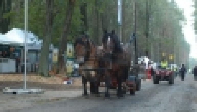 Eko-Las 2012  – Pokazy maszyn w lesie