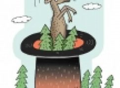 Albo hodowla parostków, albo hodowla lasu