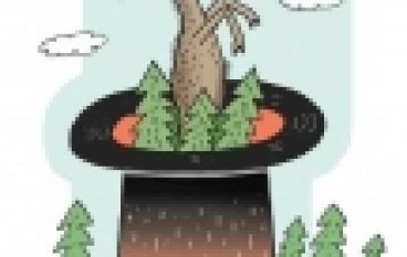 Albo hodowla parostków, albo hodowla lasu