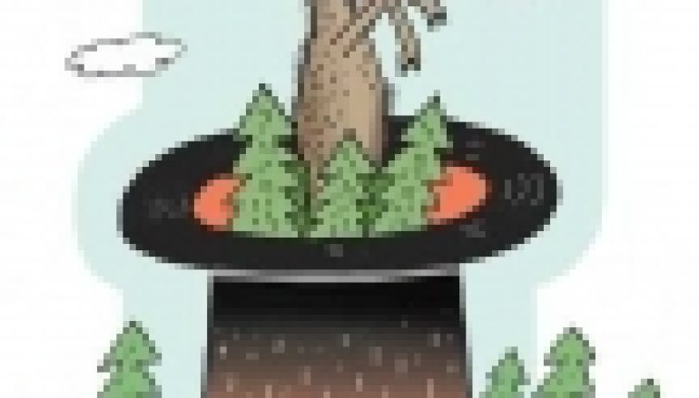 Albo hodowla parostków, albo hodowla lasu