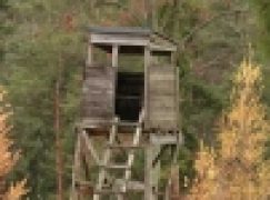 Łowiectwo widziane na różny sposób