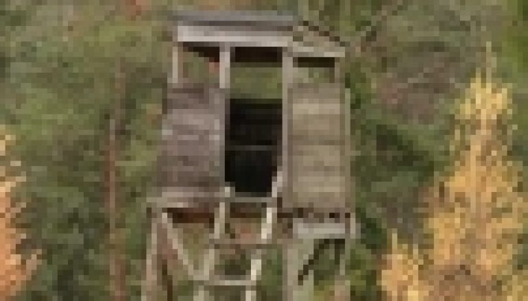 Łowiectwo widziane na różny sposób