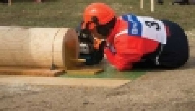 V Mistrzostwa Polski w Umiejętnościach Leśnych – Praca rąk, nóg i głowy