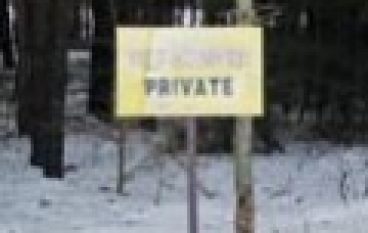 Nauka – Raport FAO nt. struktury własności lasów