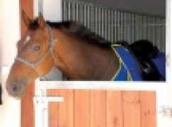 Łódzki Szlak Konny – Wio, koniku, najdłuższą trasą w Europie!