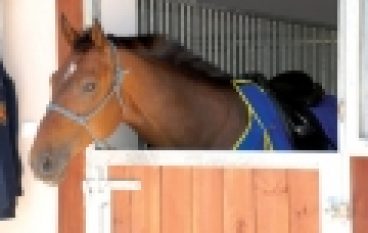 Łódzki Szlak Konny – Wio, koniku, najdłuższą trasą w Europie!