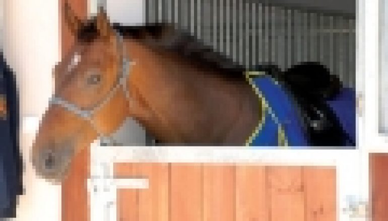 Łódzki Szlak Konny – Wio, koniku, najdłuższą trasą w Europie!