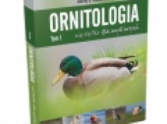 Ornitologia nie tylko dla myśliwych