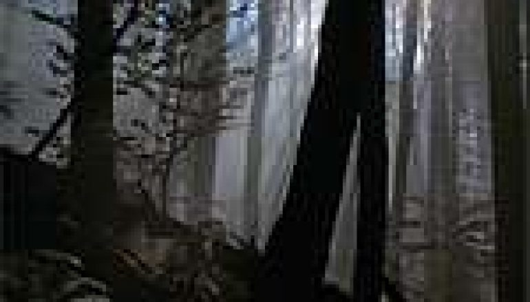 Skarby podkarpackich lasów