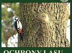 Multimedialna instrukcja