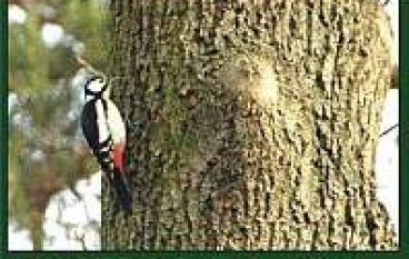 Multimedialna instrukcja