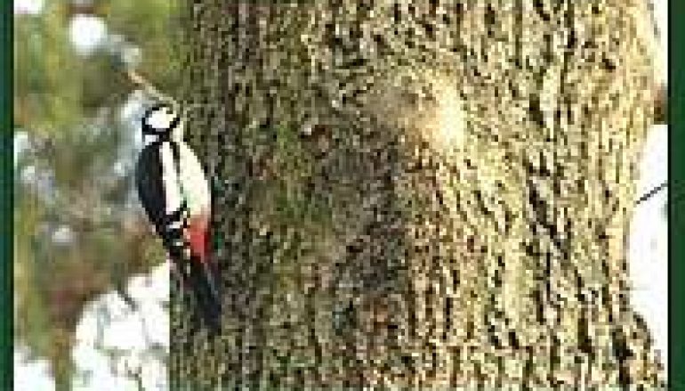 Multimedialna instrukcja