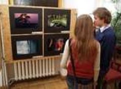 „Las Polski” nagradza