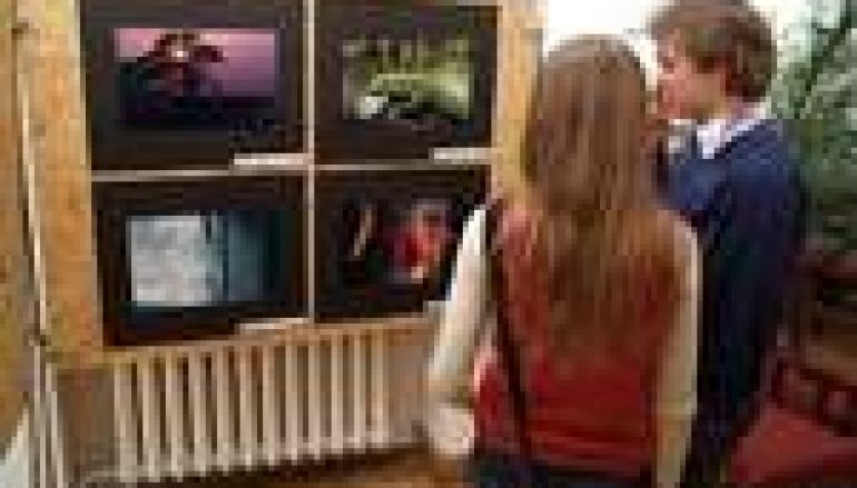 „Las Polski” nagradza