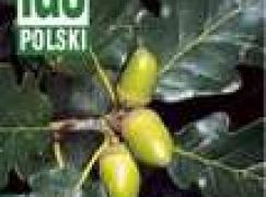 Molekułą w fytoftorę