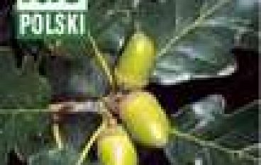 Molekułą w fytoftorę