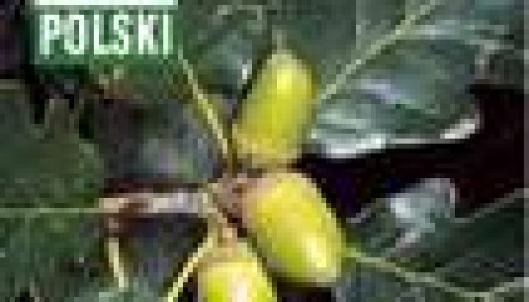 Molekułą w fytoftorę