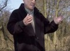 Kawałek równika znaleziony w Puszczy Białowieskiej