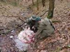 Podsumowanie akcji „Kłusownik”