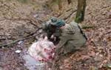 Podsumowanie akcji „Kłusownik”