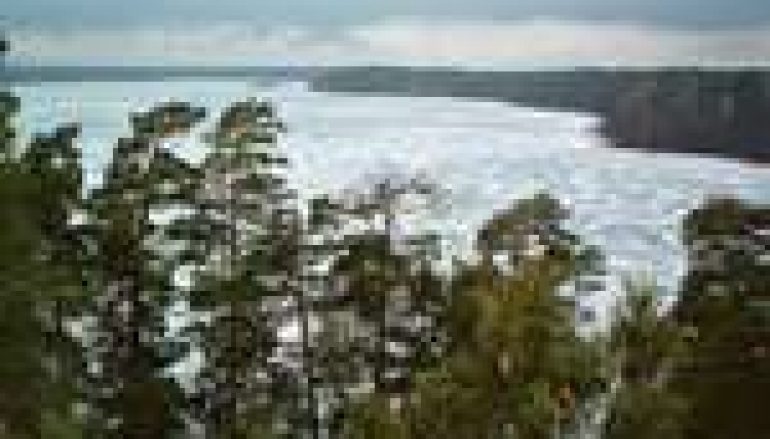 Najpierw rozpoznać, potem chronić