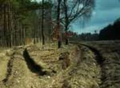 Zmiany w ochronie ppoż.