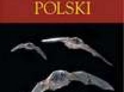 Nietoperze Polski