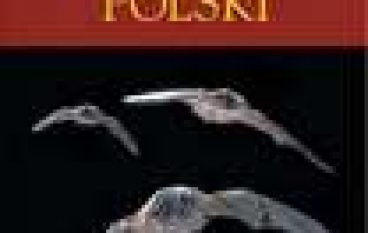 Nietoperze Polski