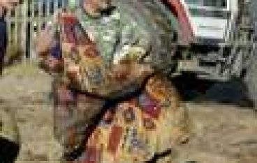 Zemsta kłusowników