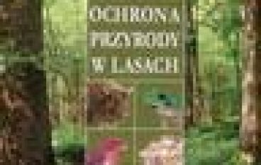 Ochrona przyrody w lasach