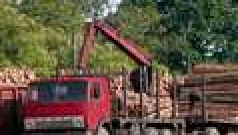 Szkielet nowych zasad