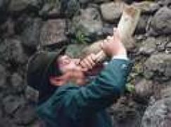 Rogi grały pod zamkiem