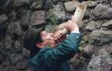 Rogi grały pod zamkiem