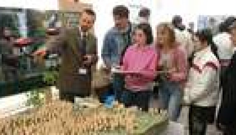 Nadleśnictwo Gdańsk na pikniku