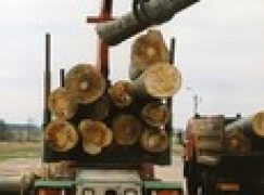 Od nowych zasad nie ma odwrotu