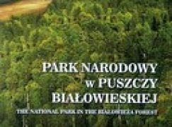 Park narodowy w Puszczy Białowieskiej