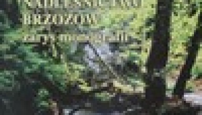 Nadleśnictwo Brzozów, zarys monografii